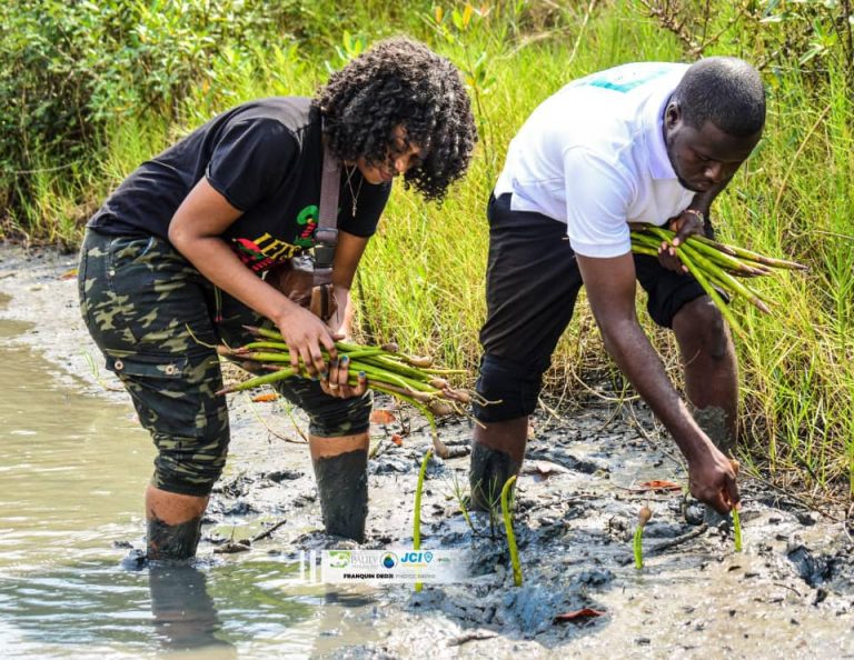 𝐉𝐎𝐔𝐑𝐍𝐄́𝐄 𝐌𝐎𝐍𝐃𝐈𝐀𝐋𝐄 𝐃𝐄𝐒 𝐙𝐎𝐍𝐄𝐒 𝐇𝐔𝐌𝐈𝐃𝐄𝐒𝐂𝐨𝐧𝐭𝐫𝐢𝐛𝐮𝐭𝐢𝐨𝐧 𝐝𝐞 𝐥’𝐎𝐍𝐆 𝐏𝐀𝐔𝐋𝐘 𝐀𝐅𝐑𝐈𝐐𝐔𝐄 𝐁𝐈𝐎